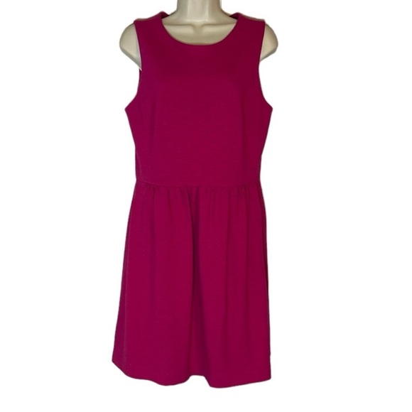 J. Crew raspberry, sleeveless dress with back zipper. Size M - Picture 1 of 8